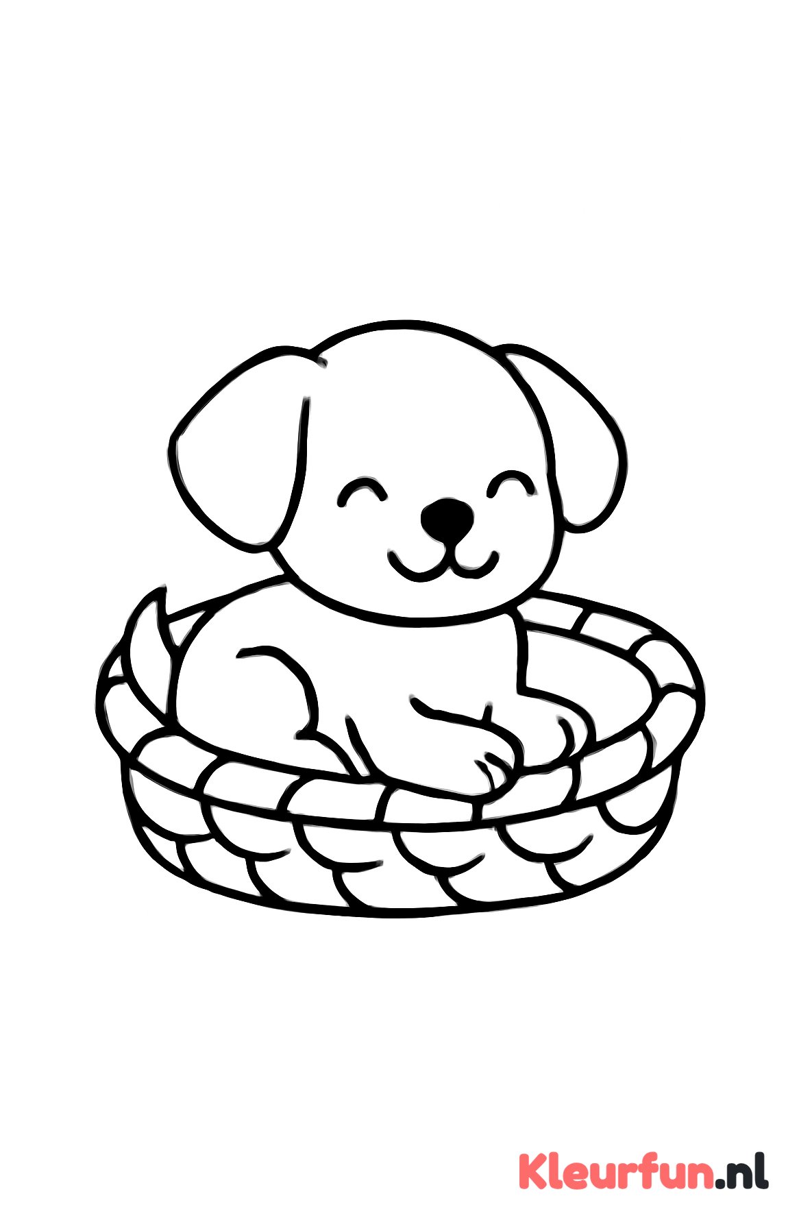 Hond in mand