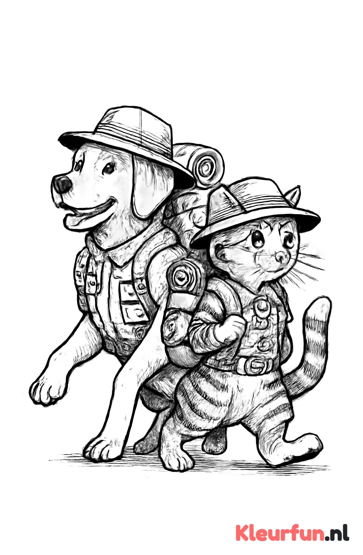 Hond en kat op avontuur