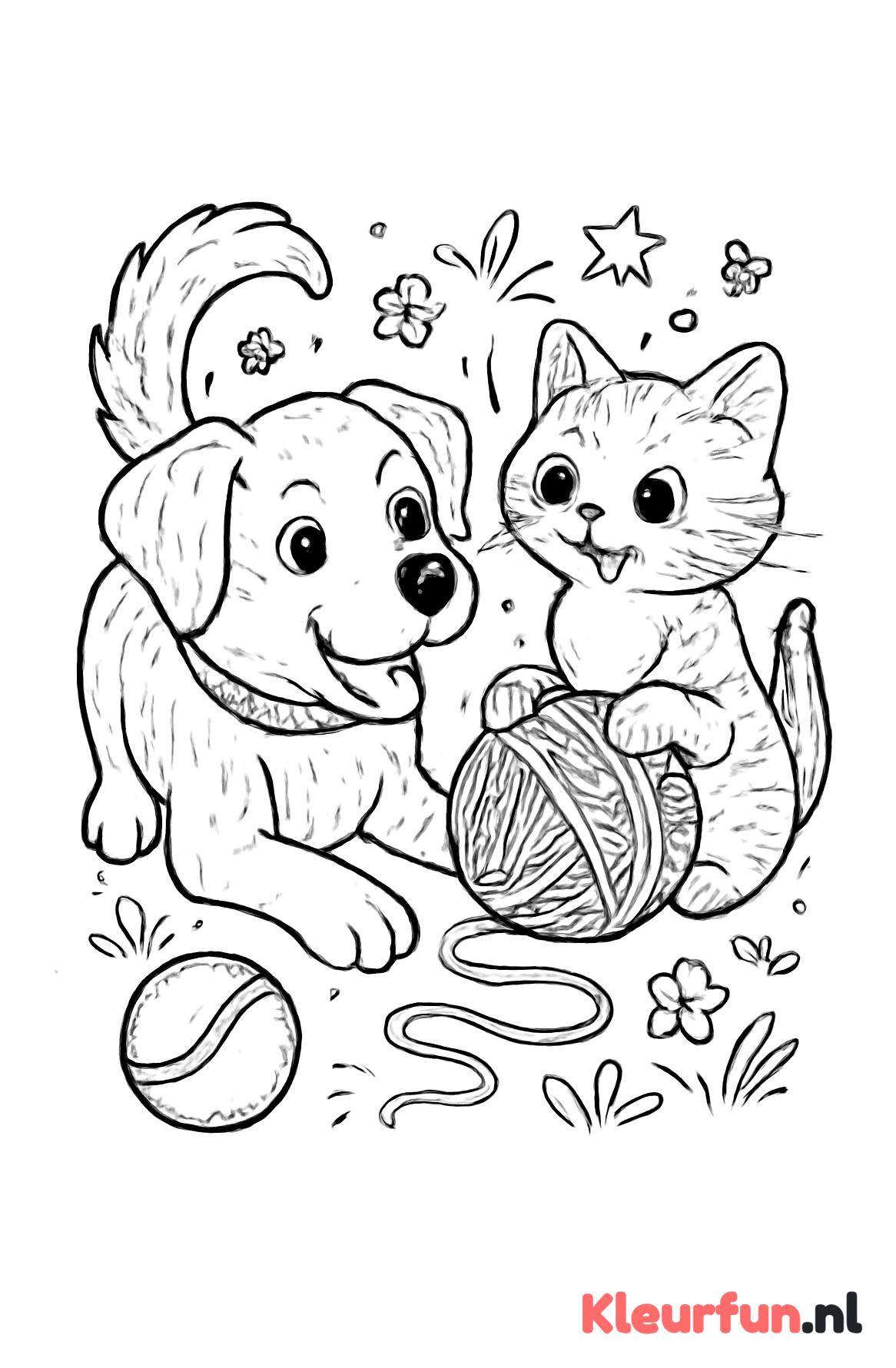 Hond en kat spelen samen