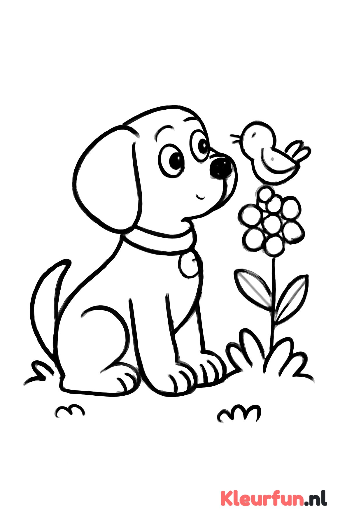 Hond die naar vogeltje kijkt