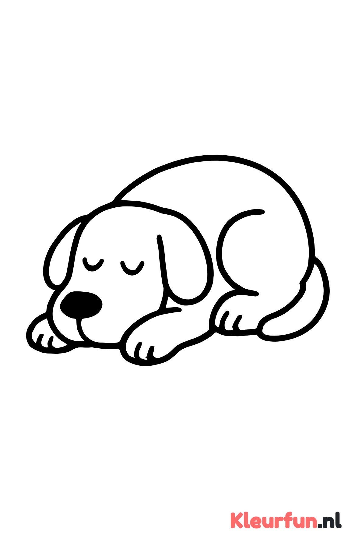 Liggende slaap hond