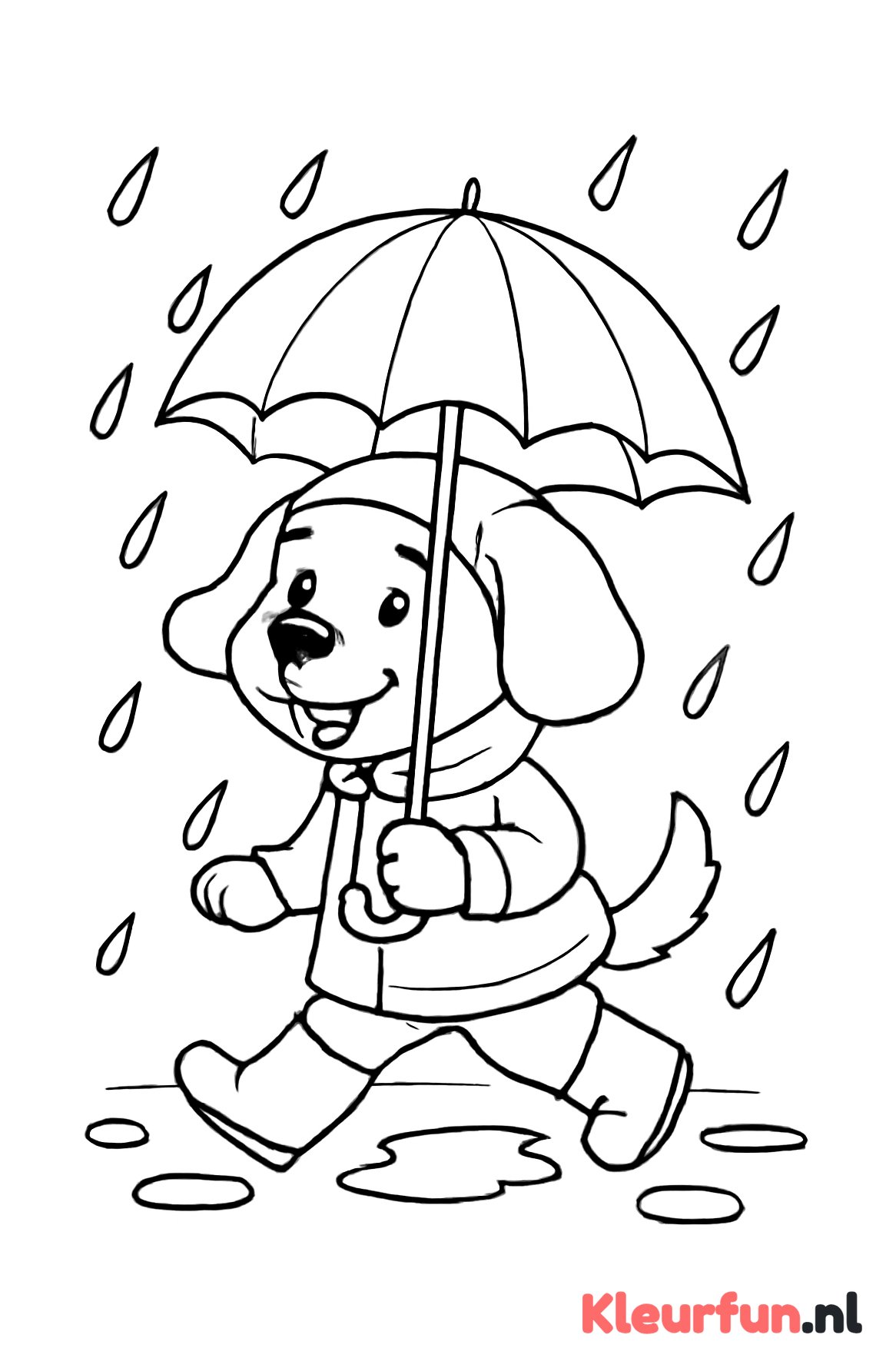 Hond met paraplu in de regen