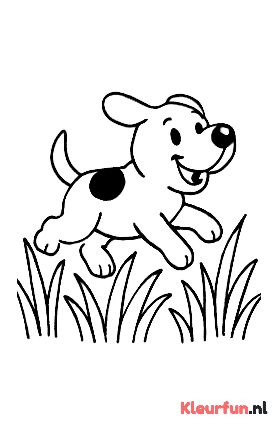 Hond rennend door gras