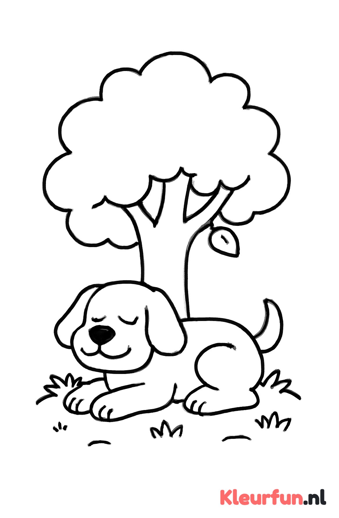 Hond rust onder een boom