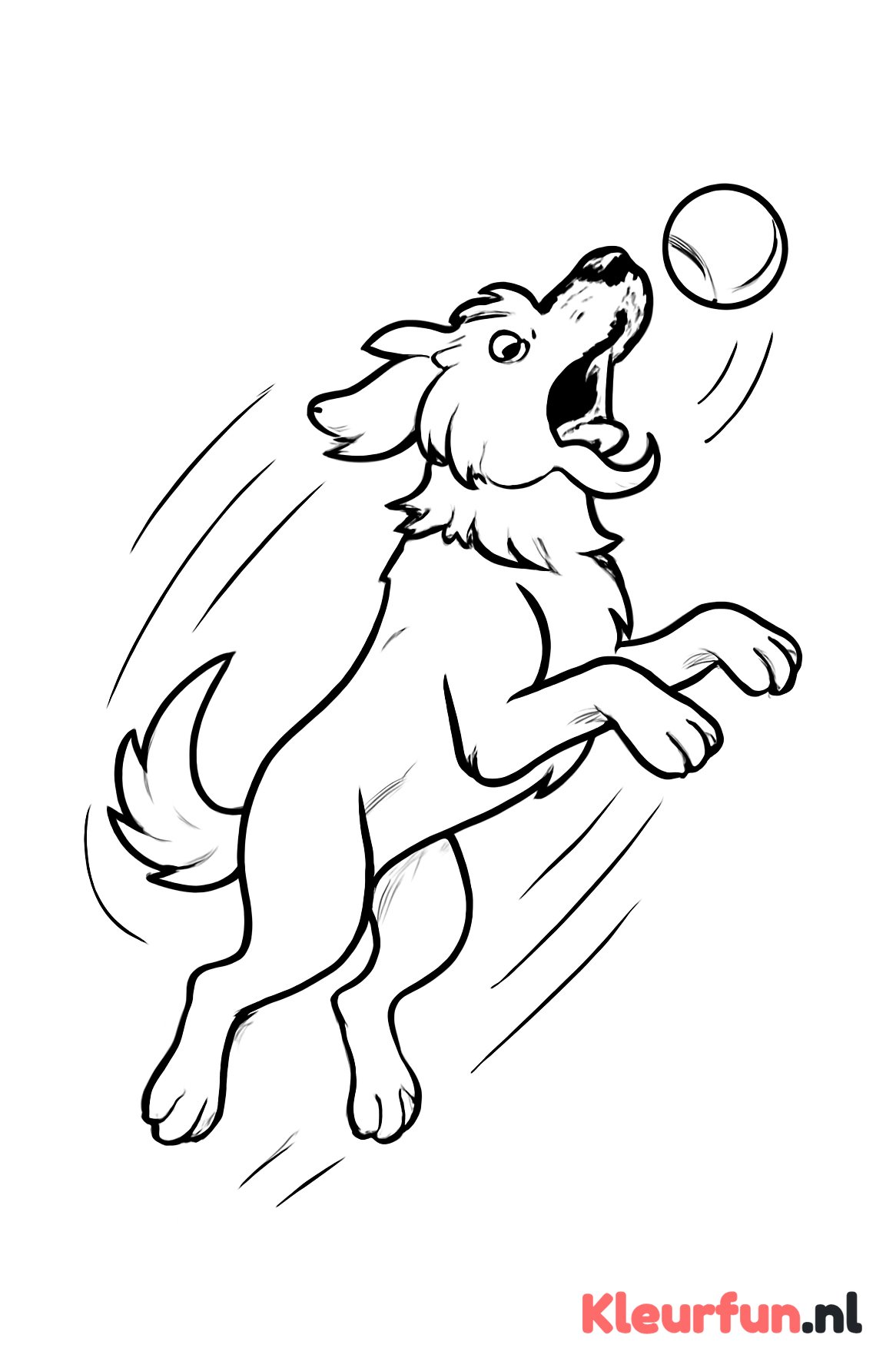 Hond vangt balletje