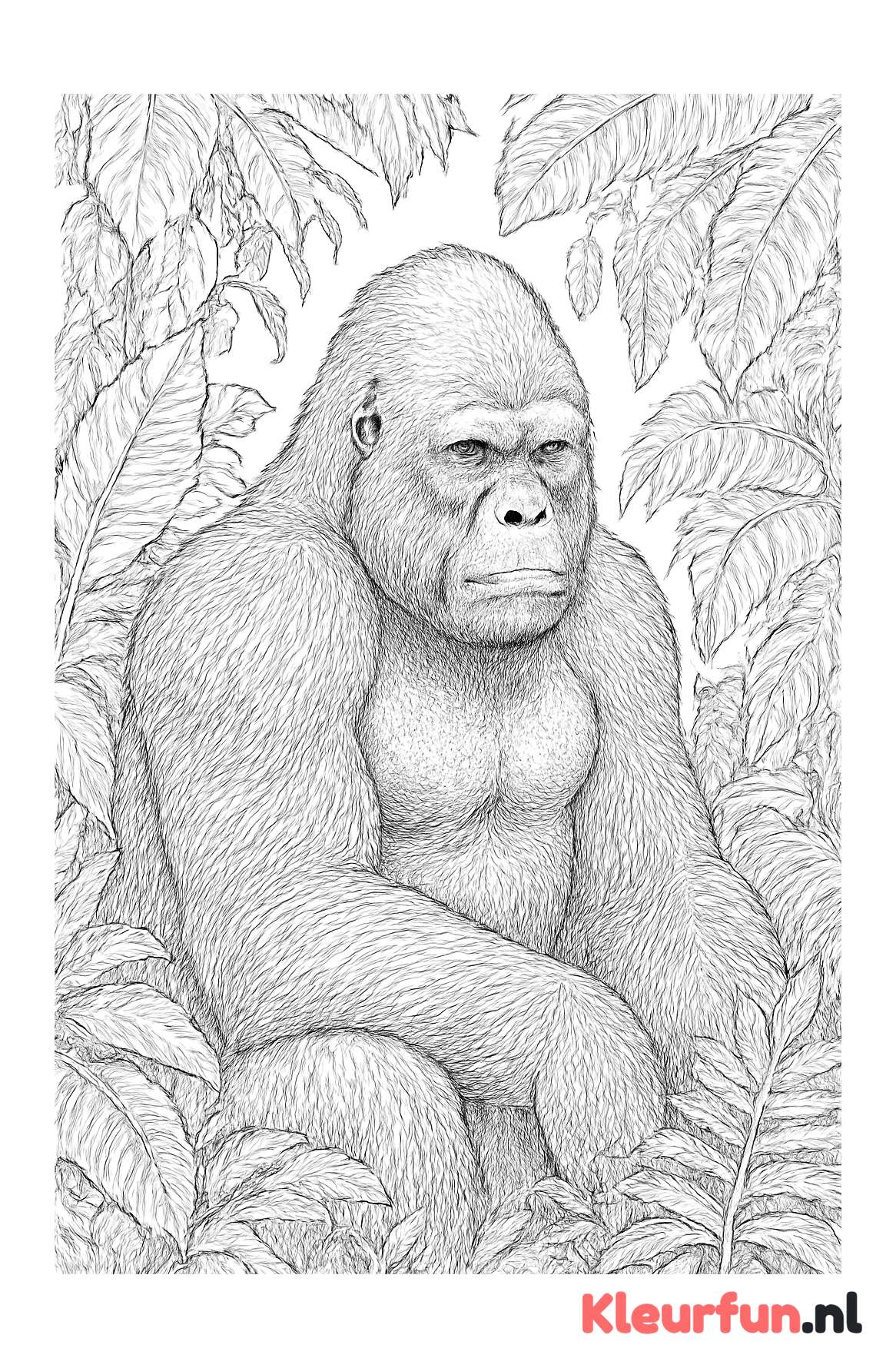Indrukwekkende gorilla in de jungle