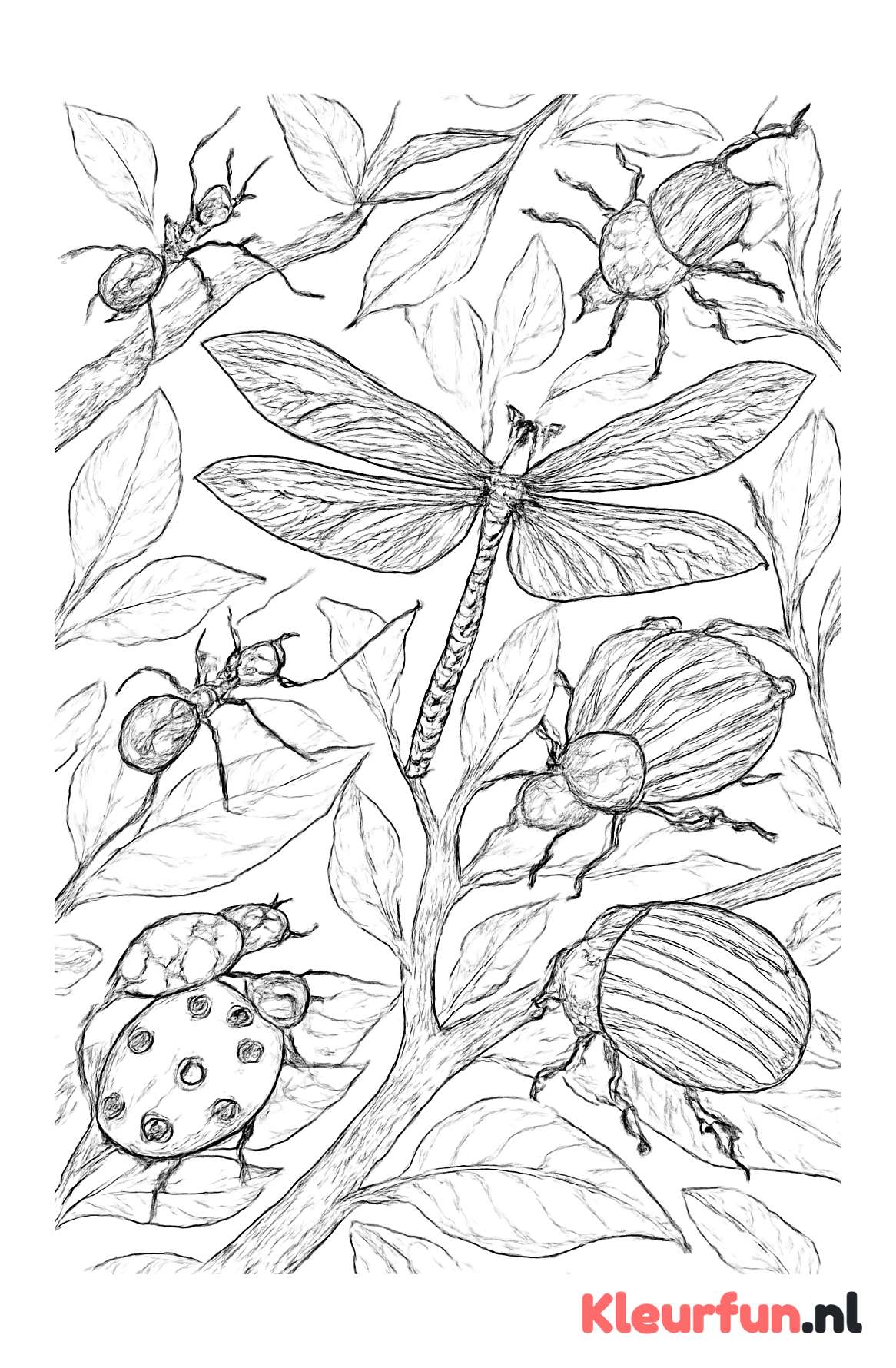 Insecten ecosysteem met bladeren en takken