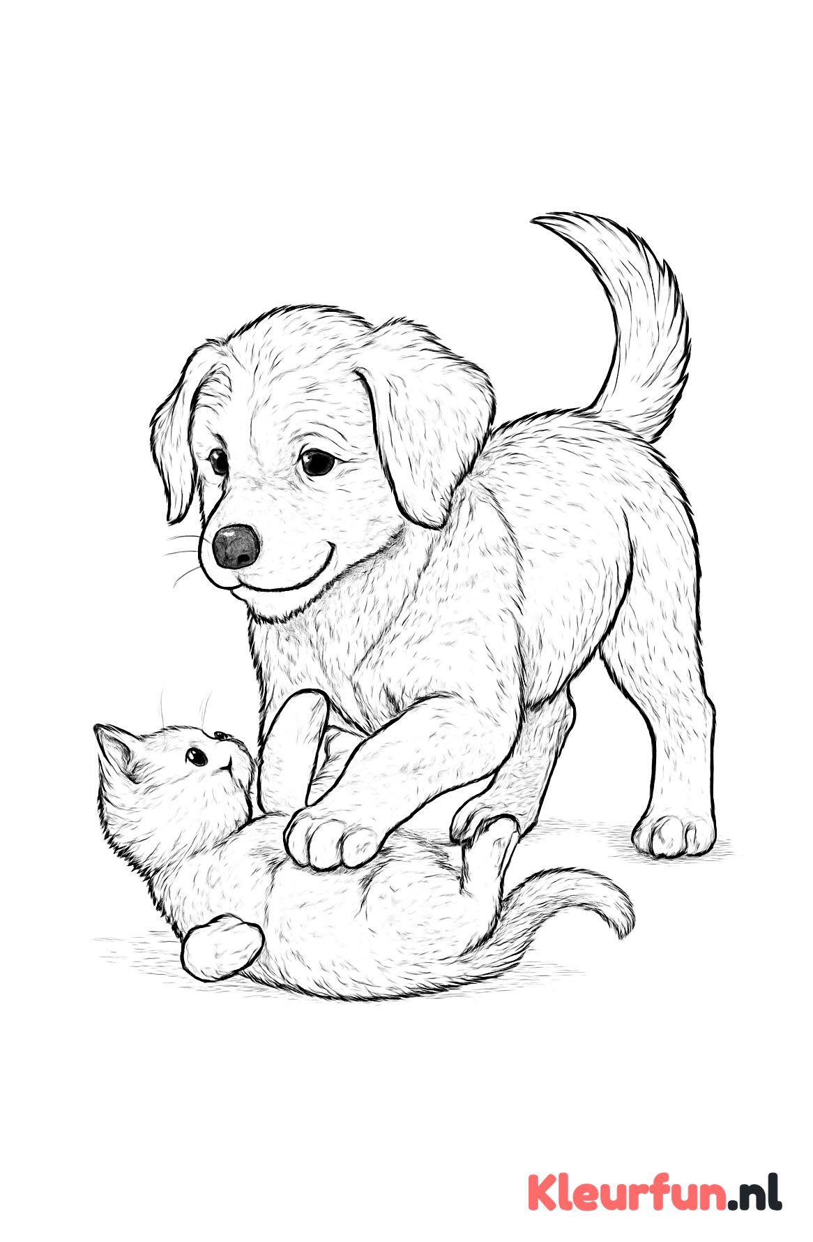 Jonge hond speelt met kitten