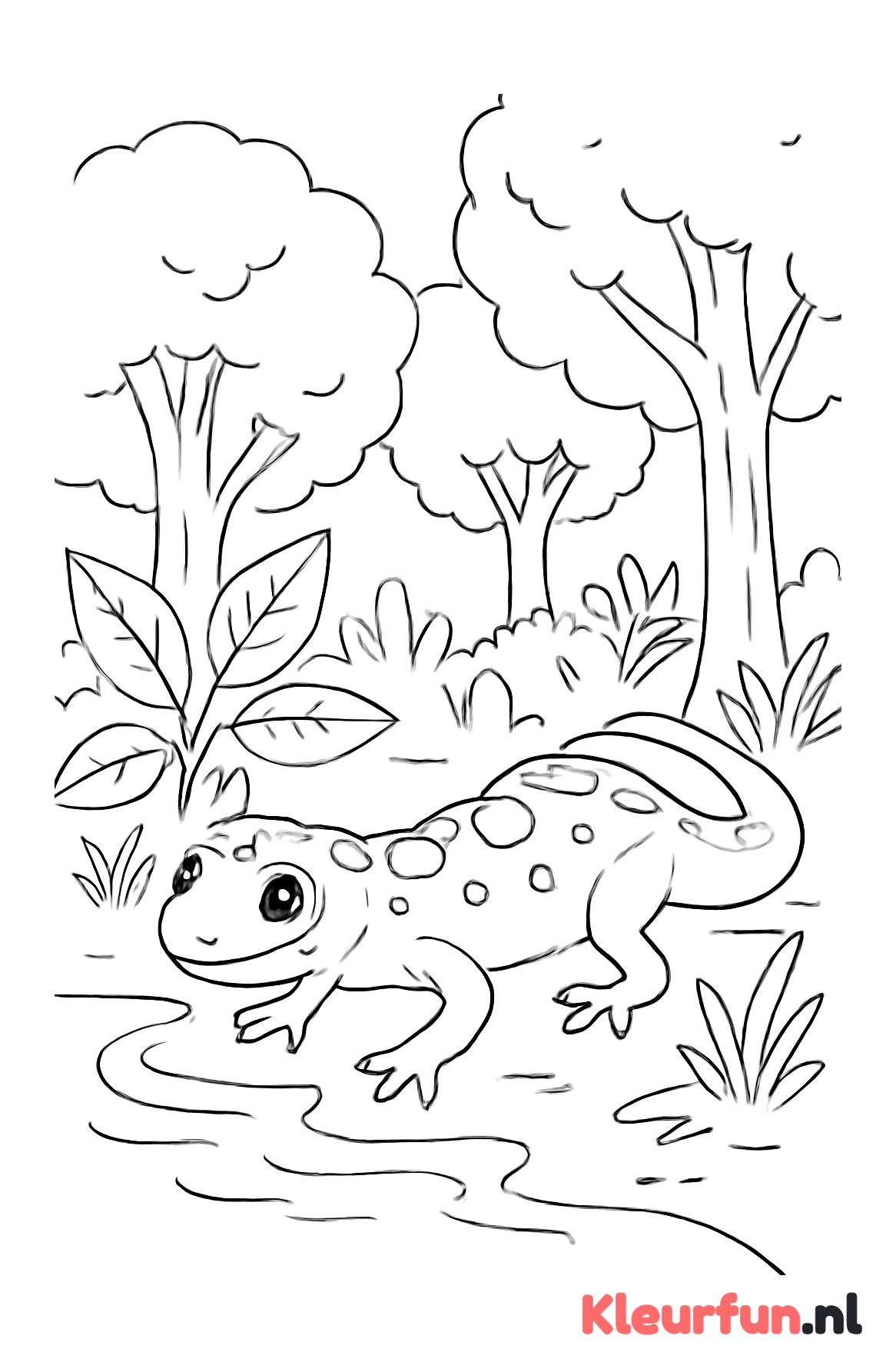 Jonge Salamander in Bos