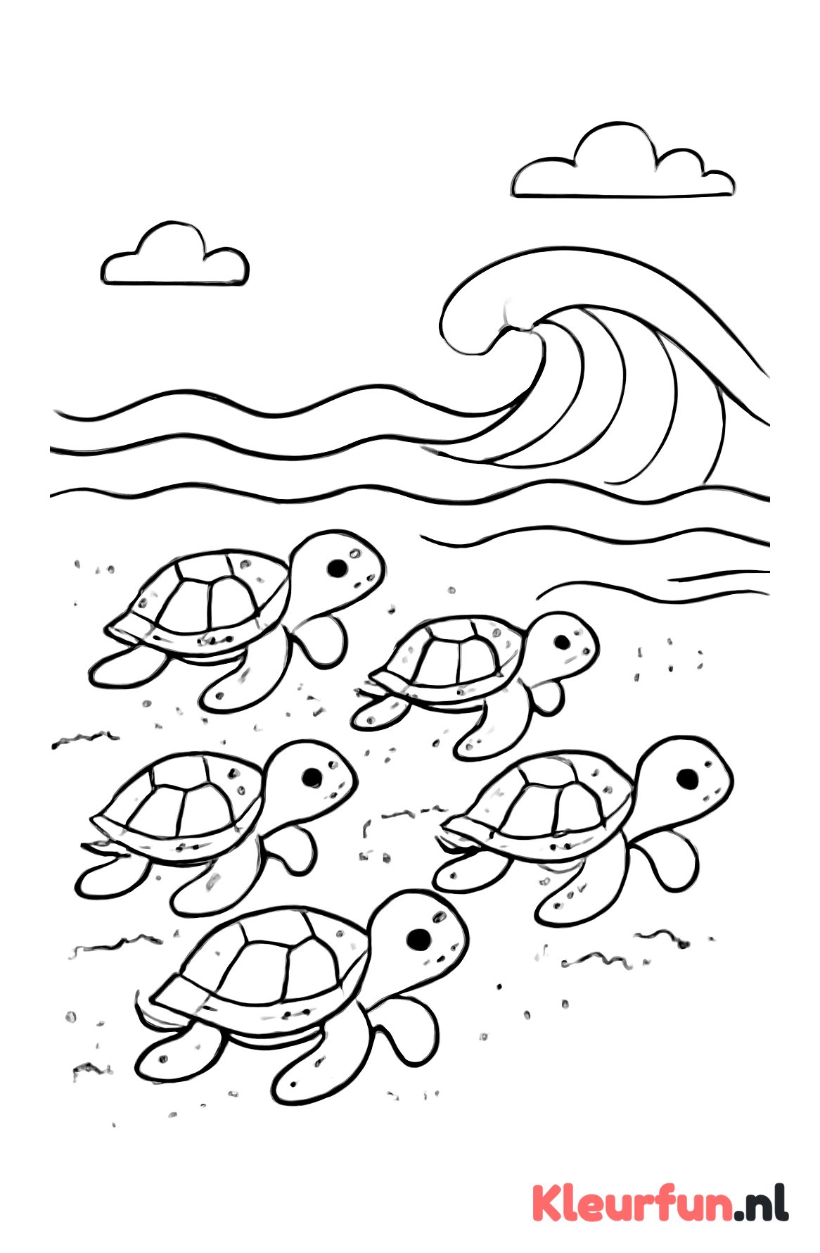 Jonge zeeschildpadden op het strand