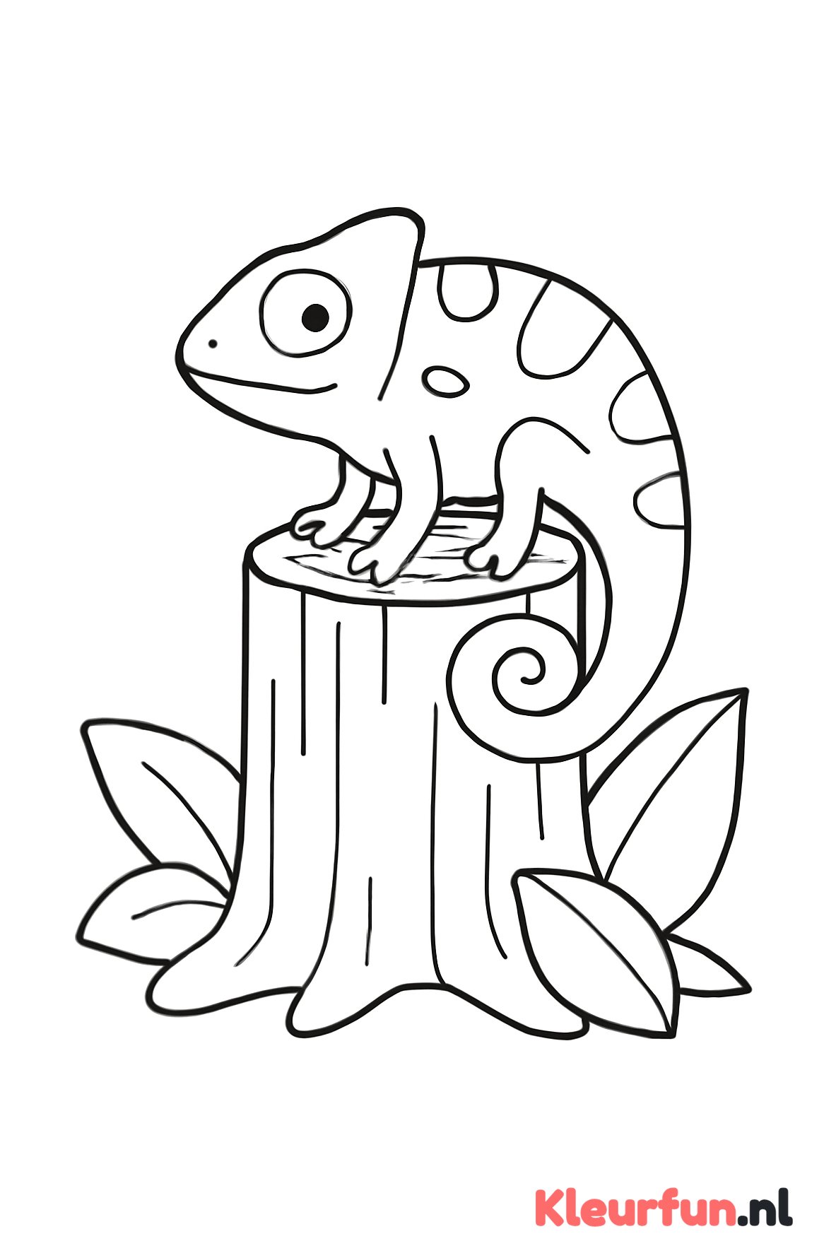Kameleon op boomstronk