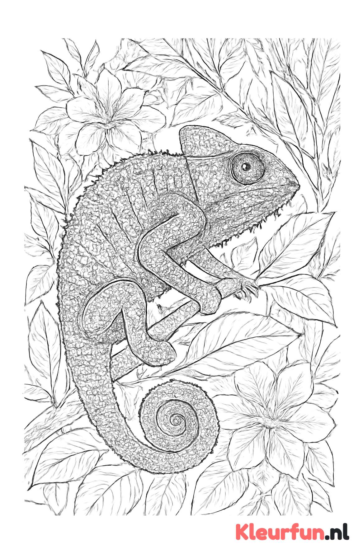Kameleon in camouflage
