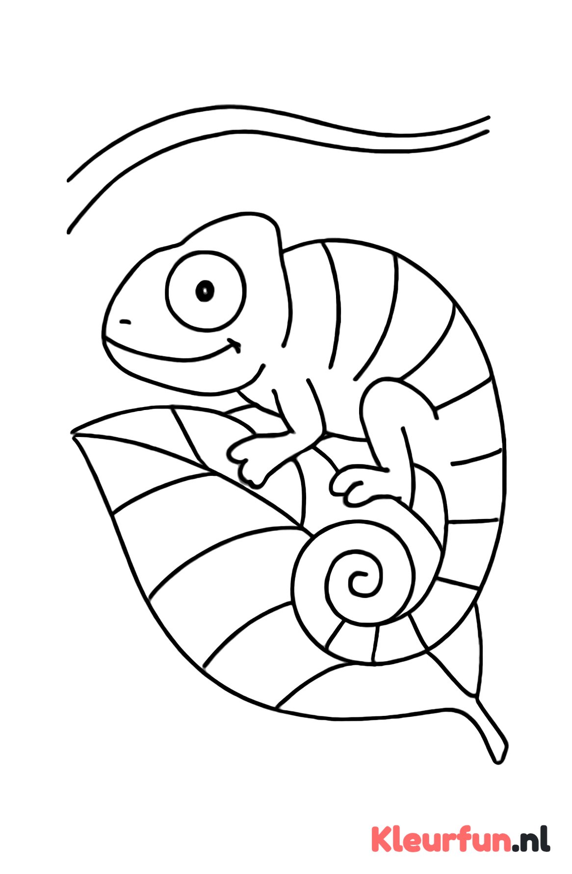 Kameleon verandert van kleur op blad