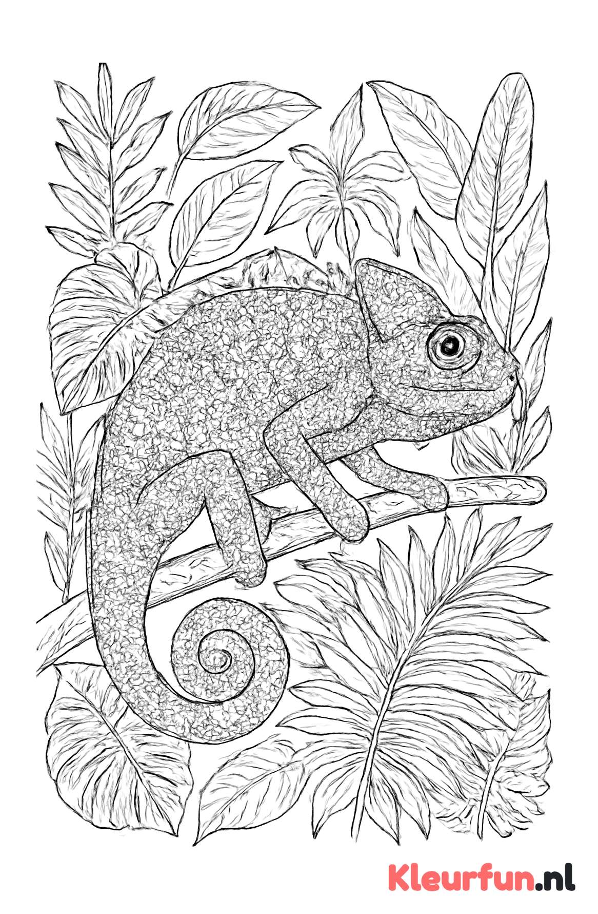 Kameleon in de jungle