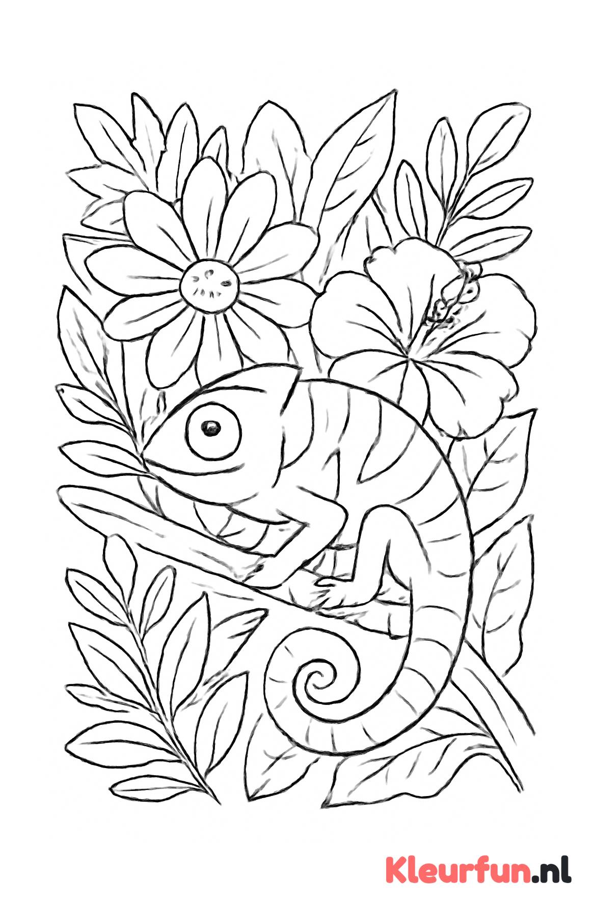 Kameleon verandert kleur