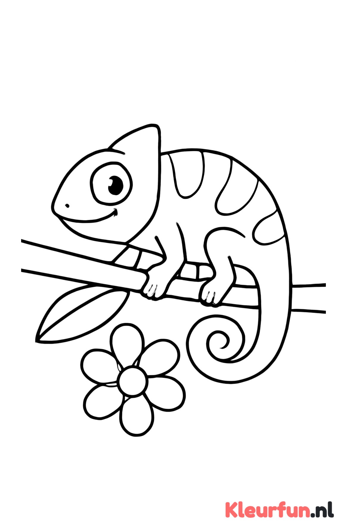 Kameleon die van kleur verandert