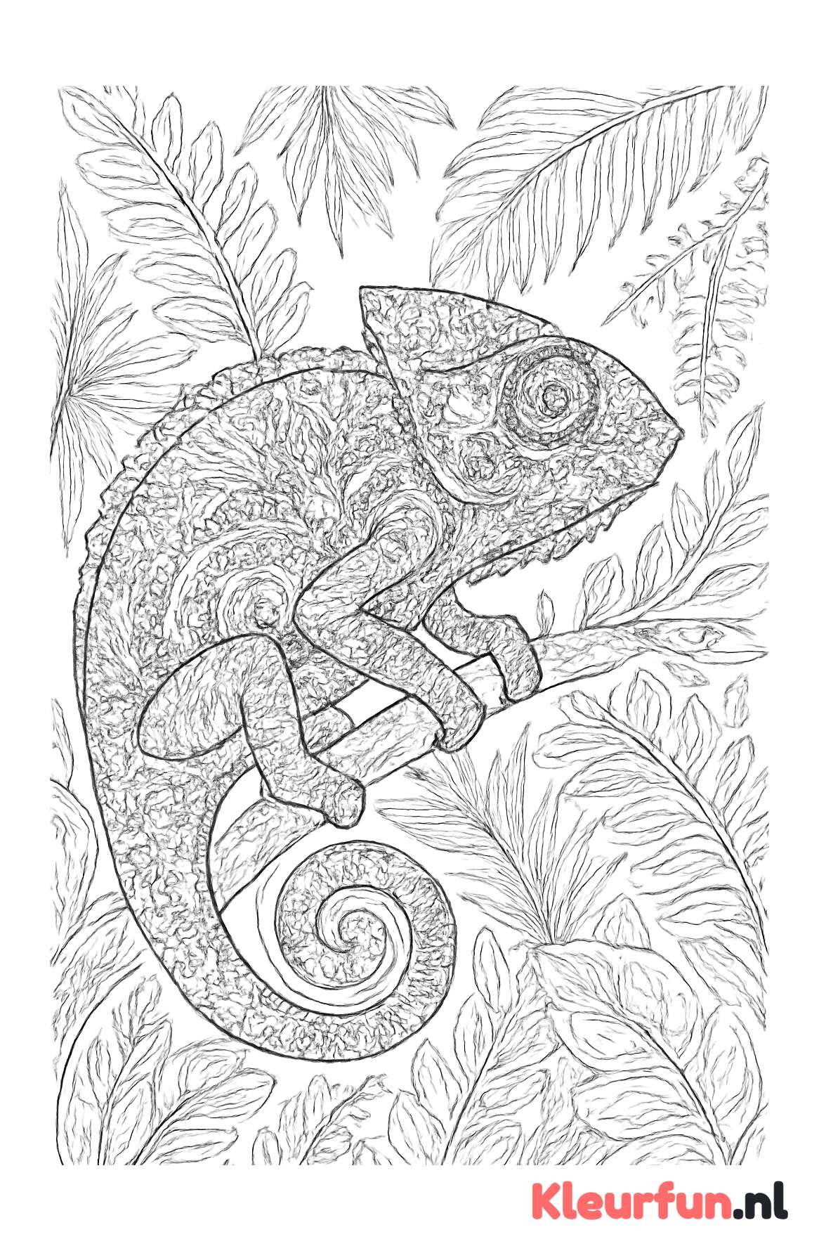 Kameleon in kleurovergang met jungle achtergrond