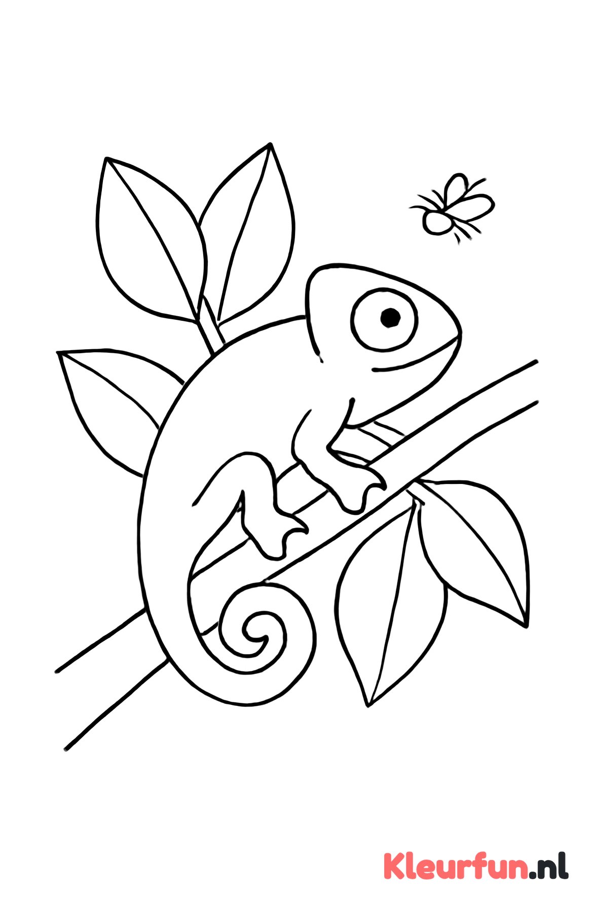 Kameleon met insect