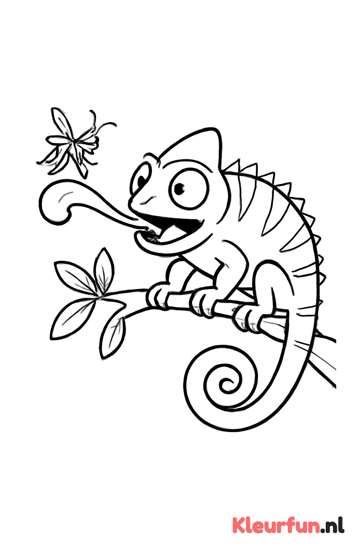 Kameleon vangt insect