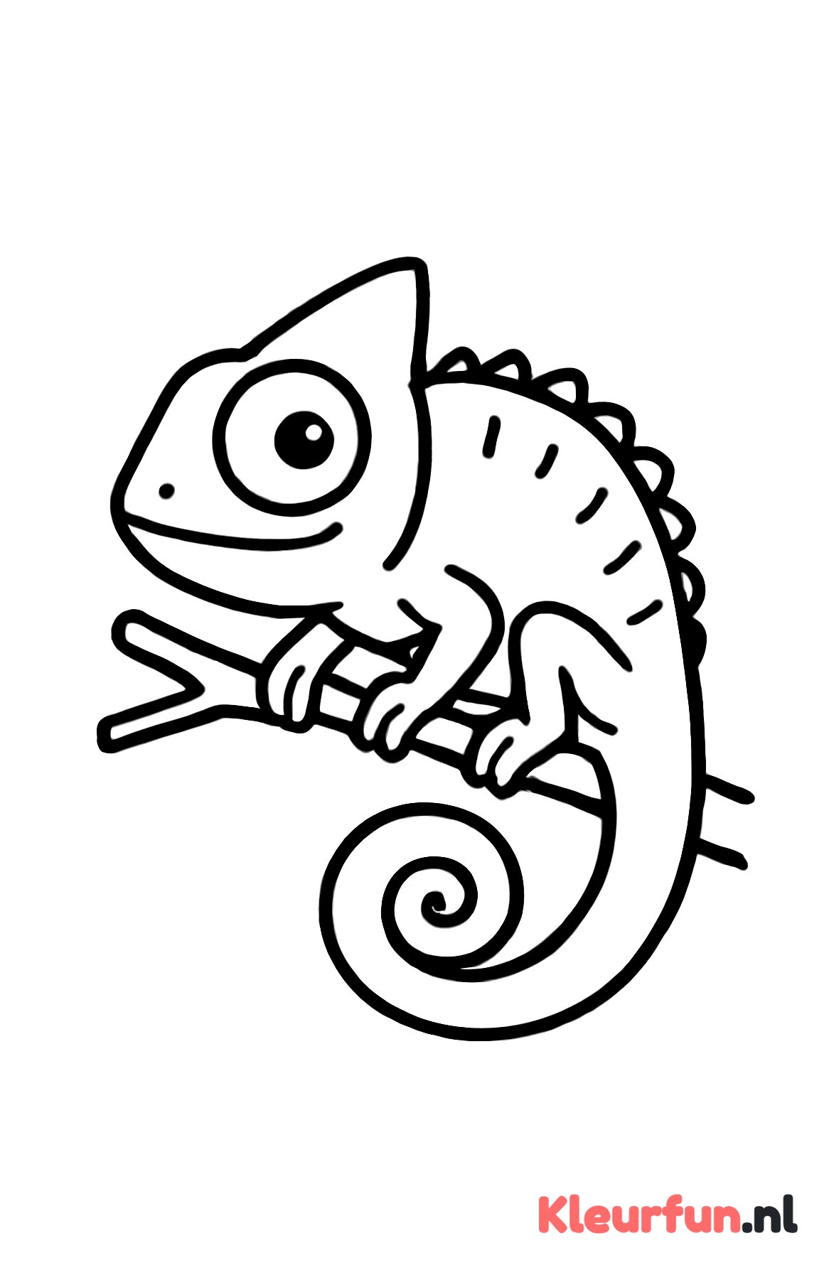 Kameleon op een tak