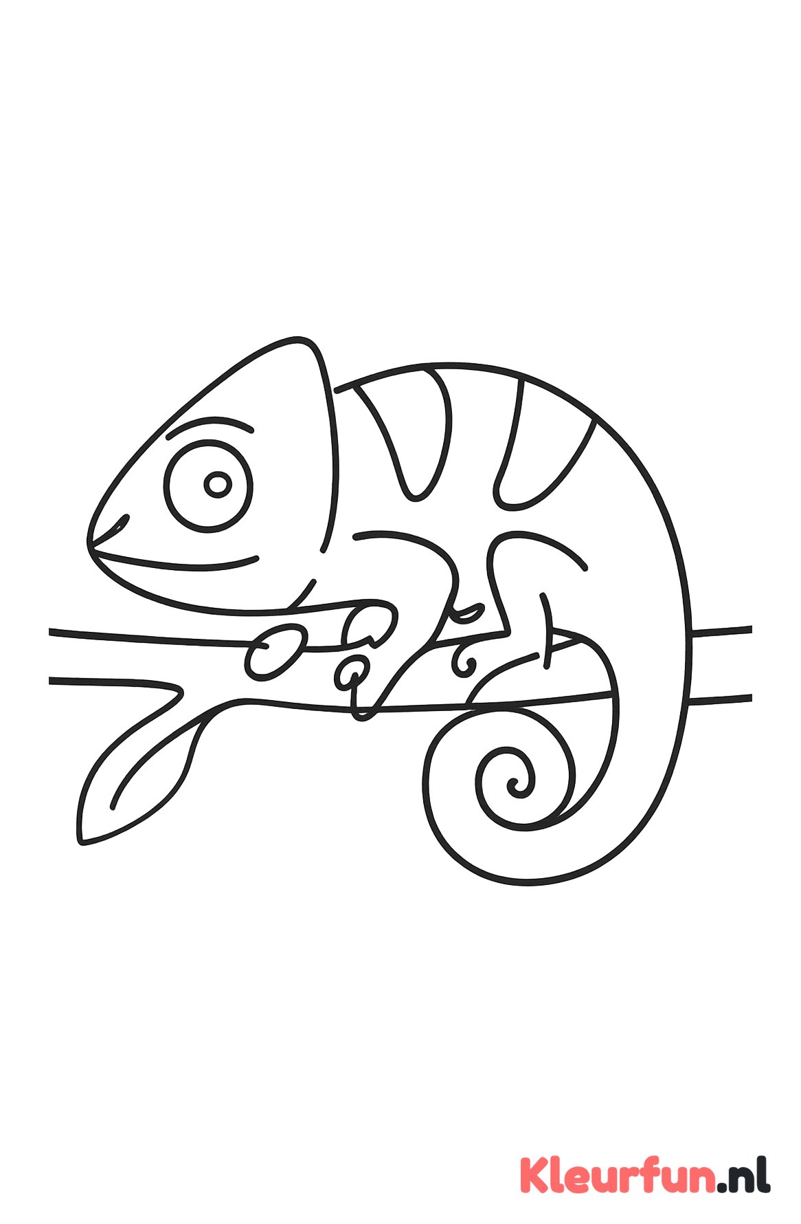 Kameleon op een tak
