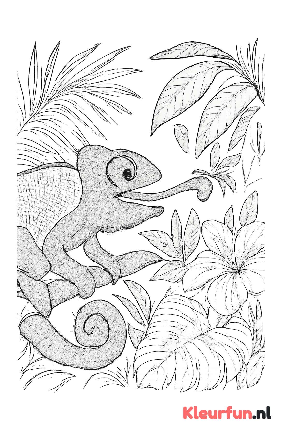 Kameleon Vangt Insect