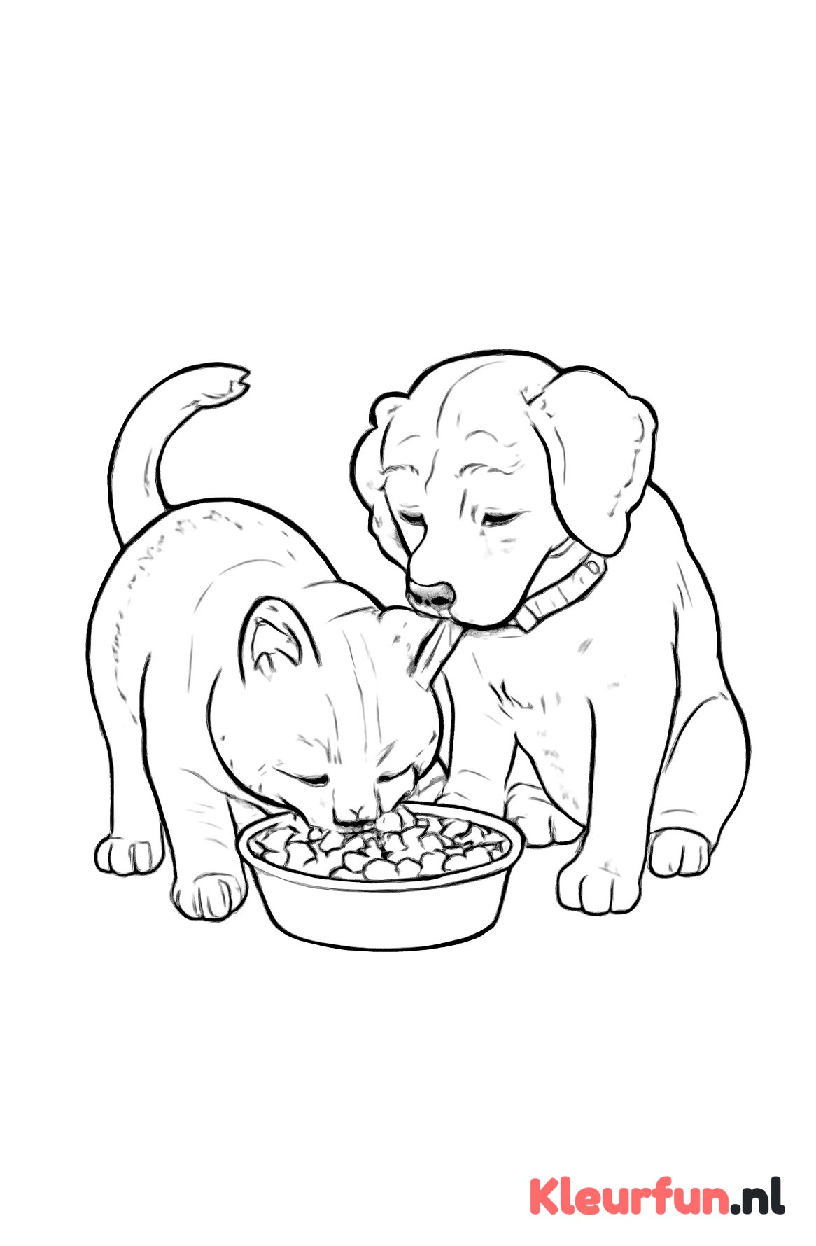 Kat en hond eten samen