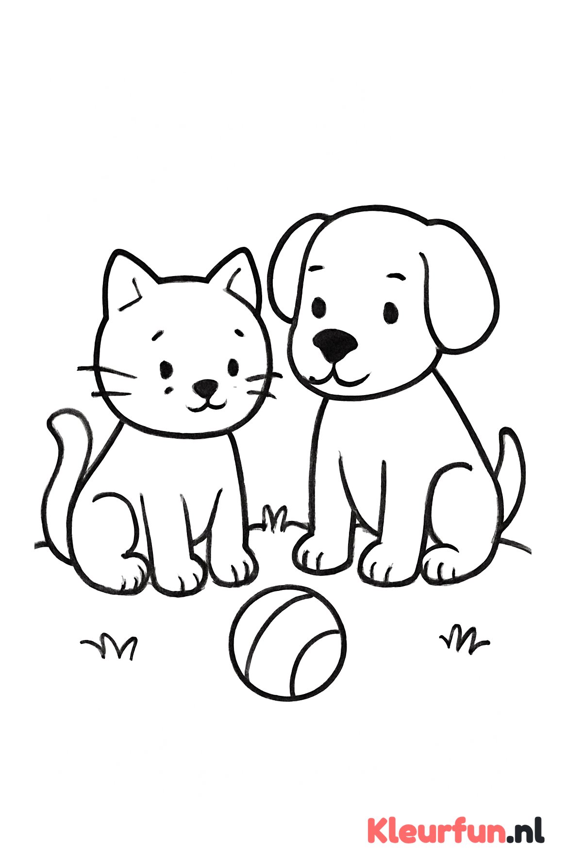 Kat en hond kijken naar bal