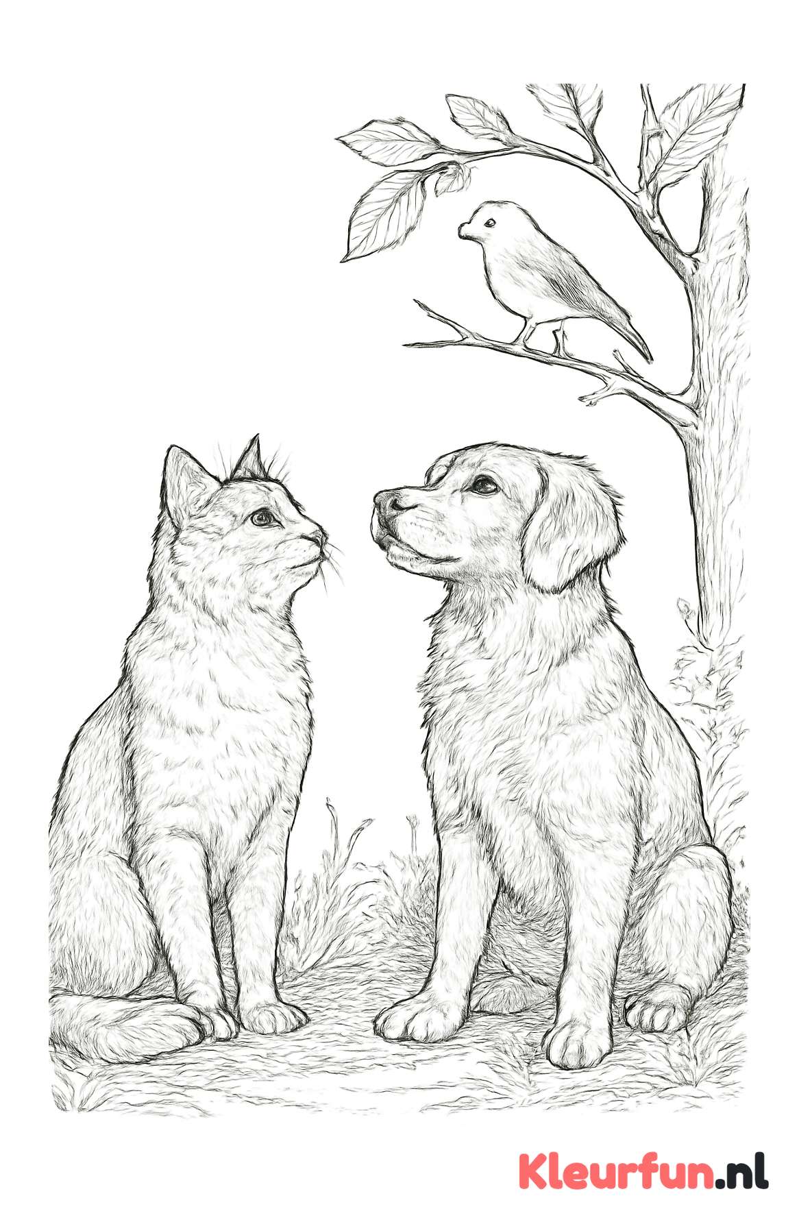 Kat en hond kijken naar vogel
