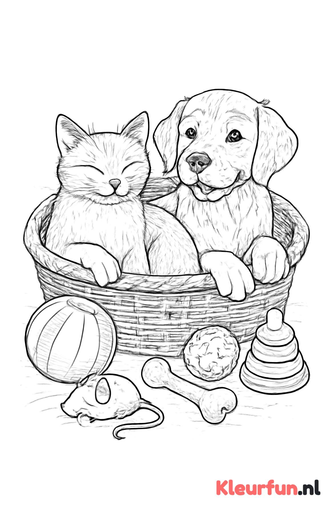 Kat en hond in mand met speelgoed