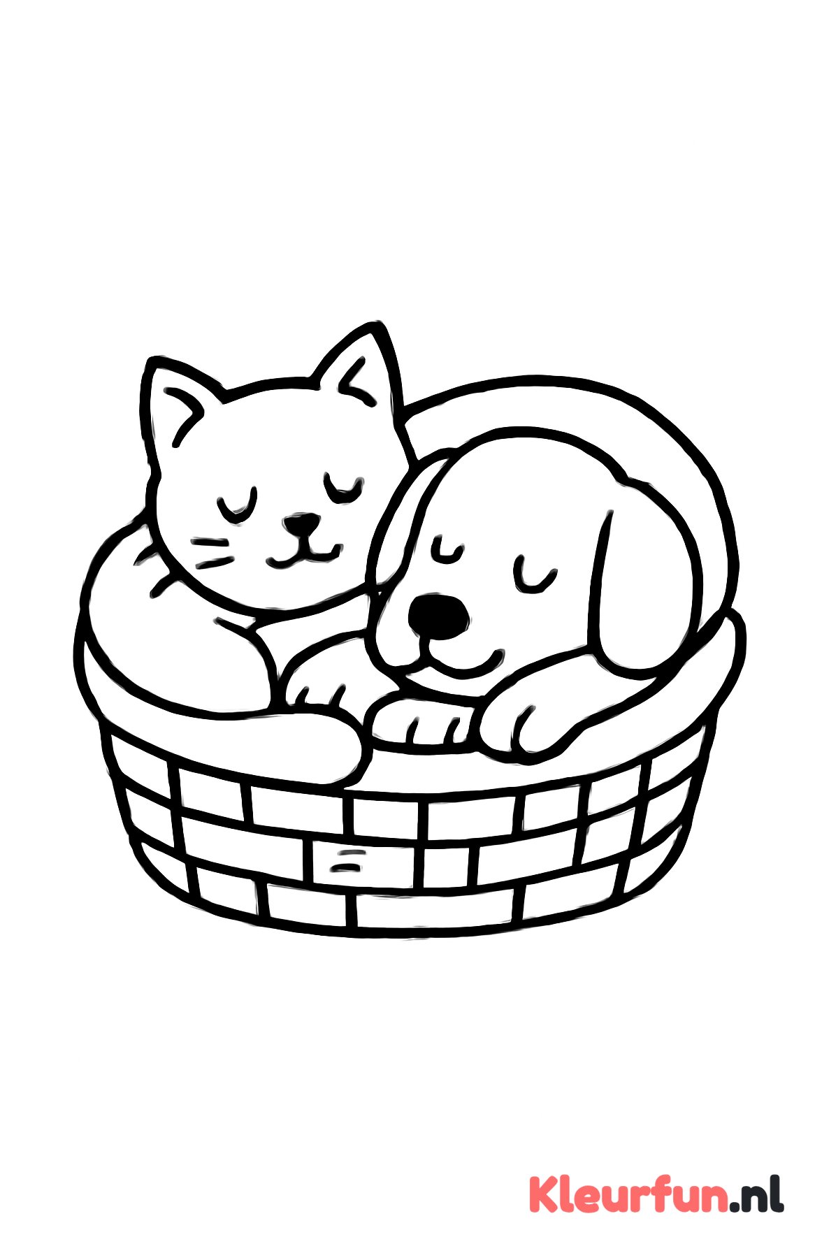 Kat en hond slapen samen in mand