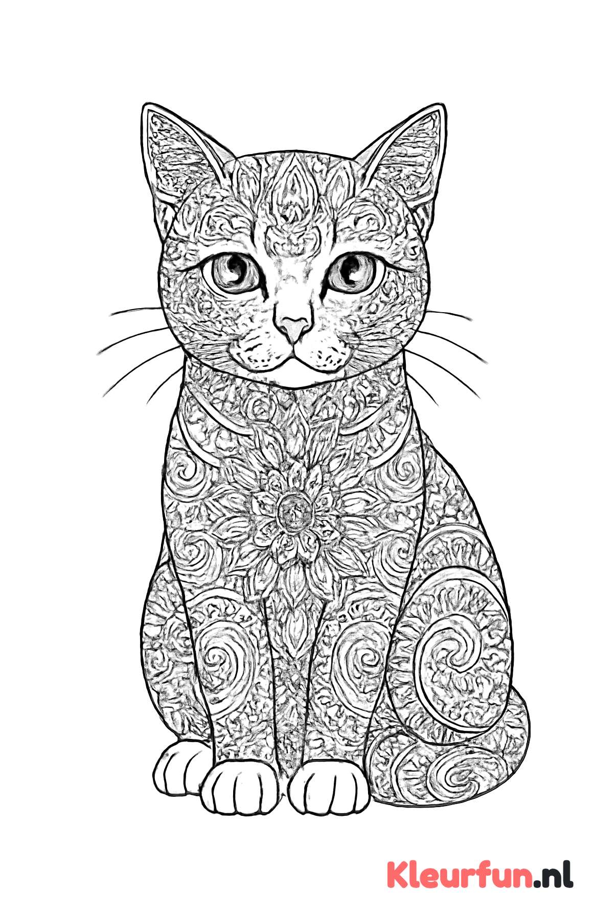 Kat met mandala patronen