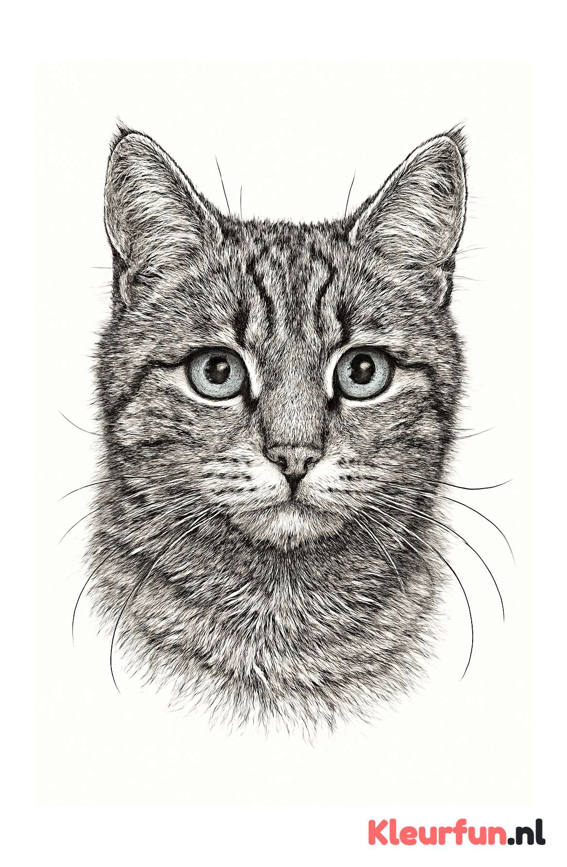 Kattengezicht close-up