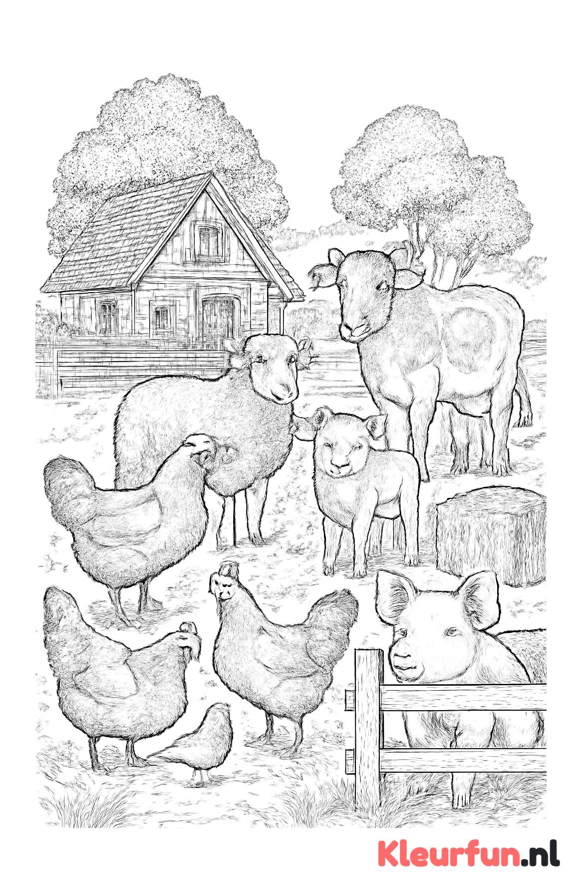 Levendige Kinderboerderij met meerdere boerderijdieren