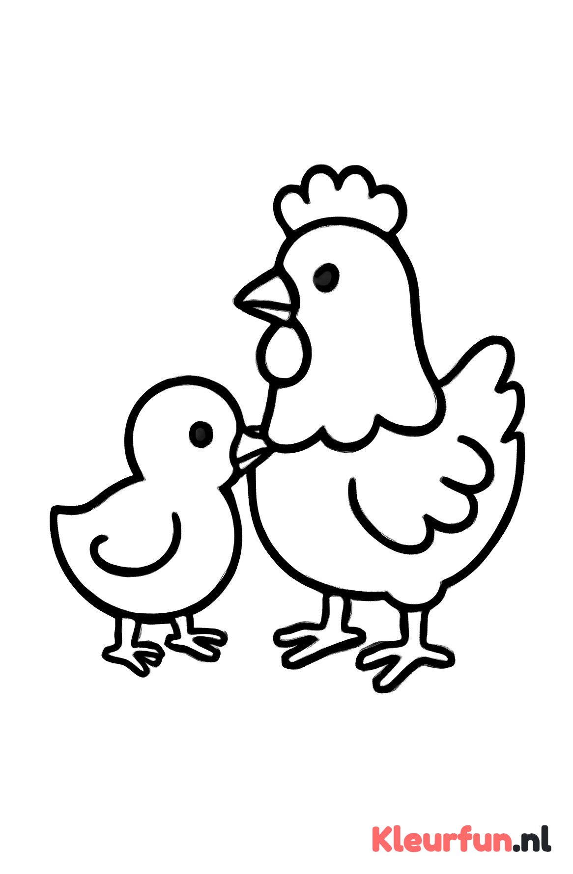 Kip en kuiken