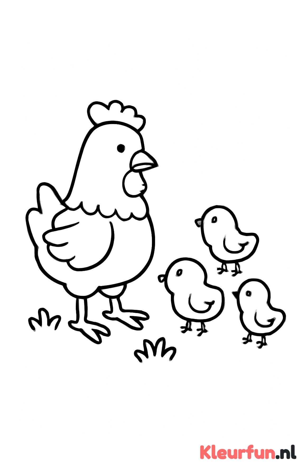 Kip met kuikens