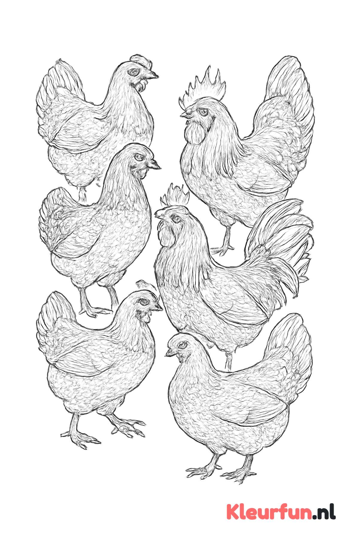 Complexe lijntekening van een groep kippen