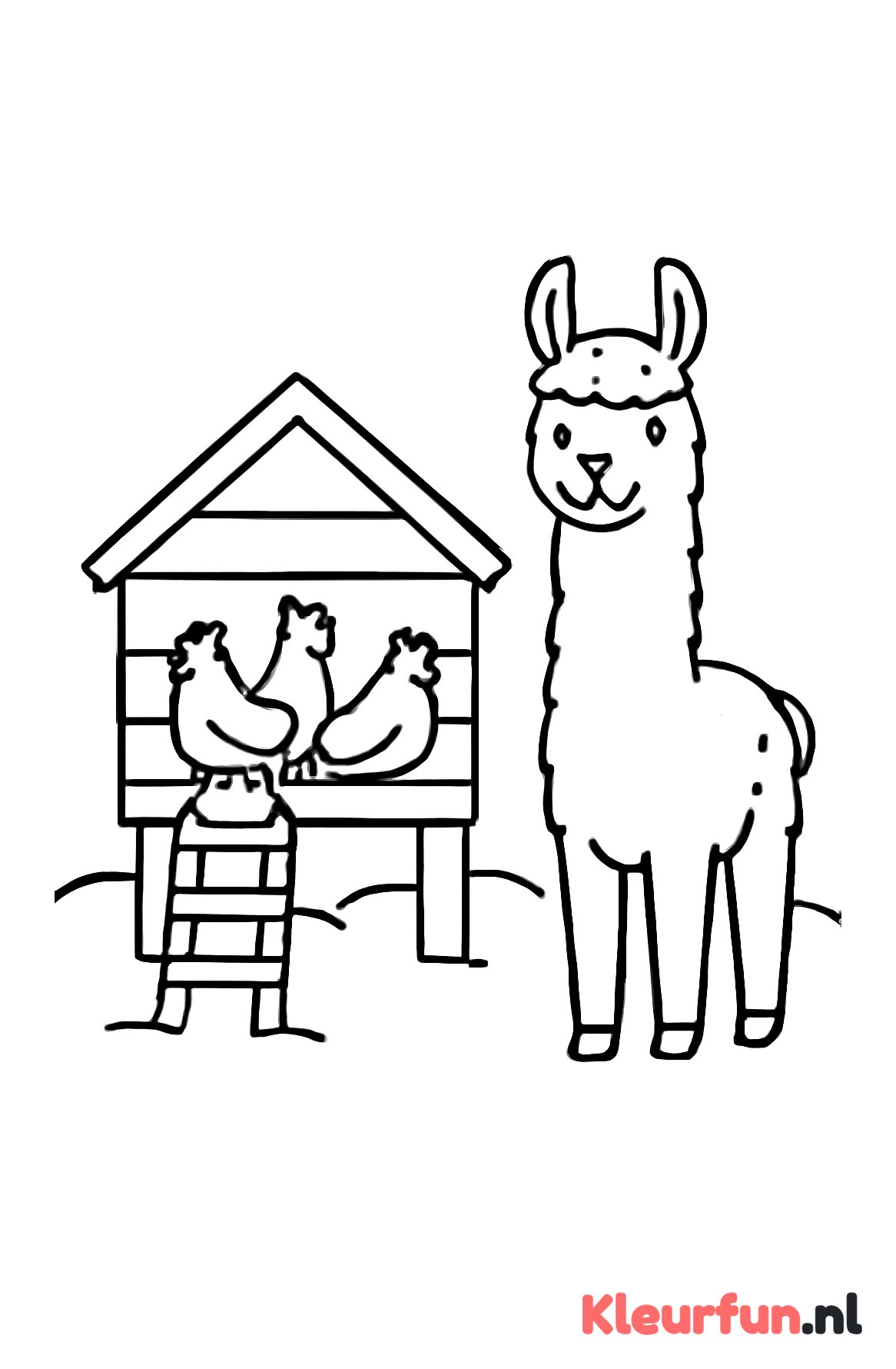 Kippenhok en lama op de kinderboerderij