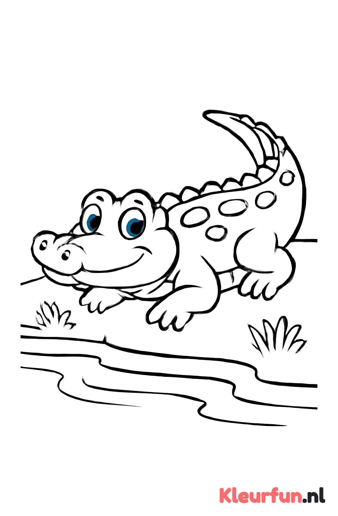 Kleine krokodil bij de oever