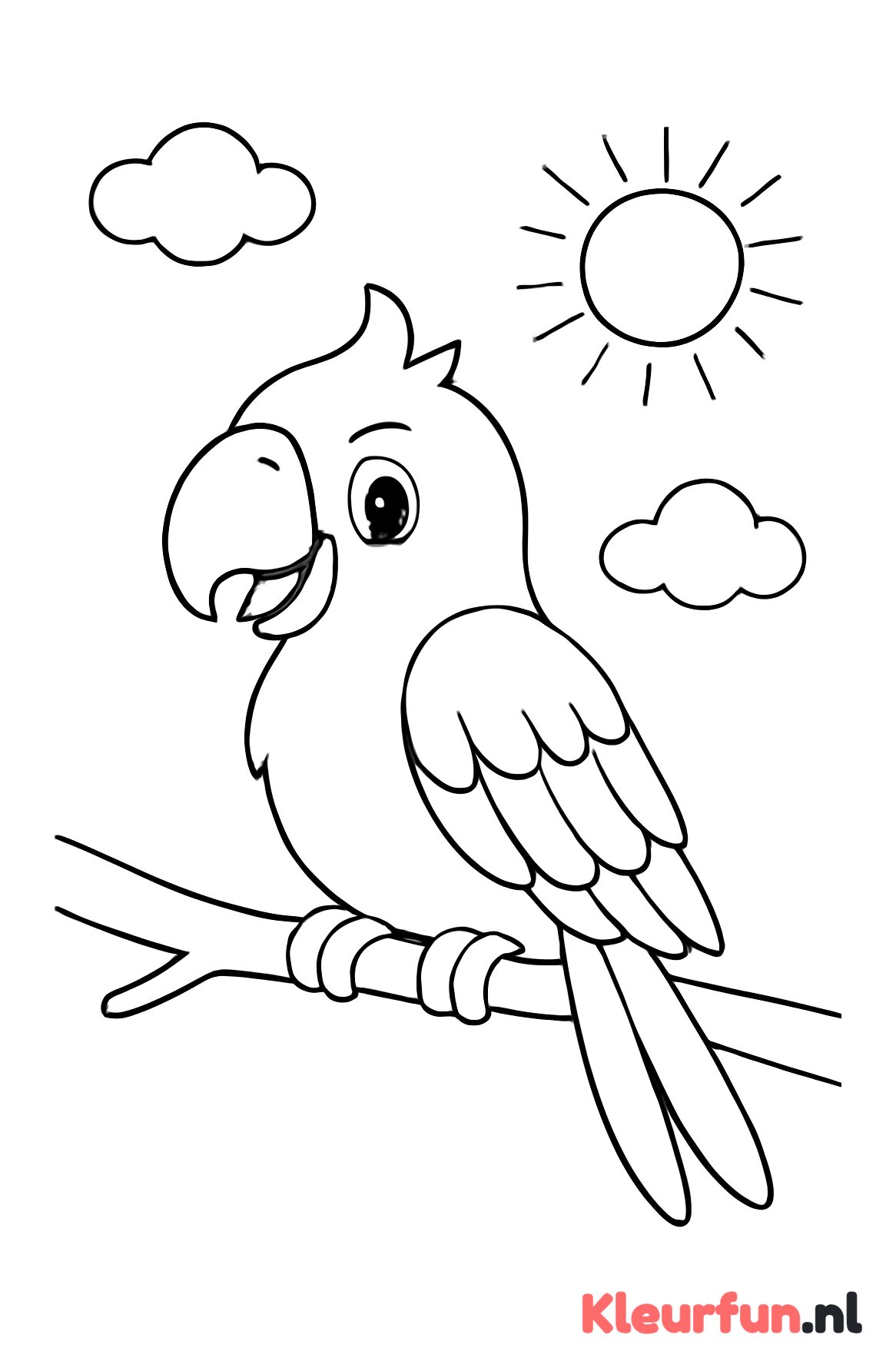Papegaai in de zon