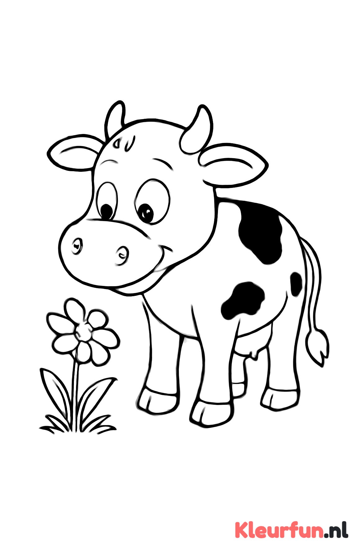Koe kijkt naar bloem