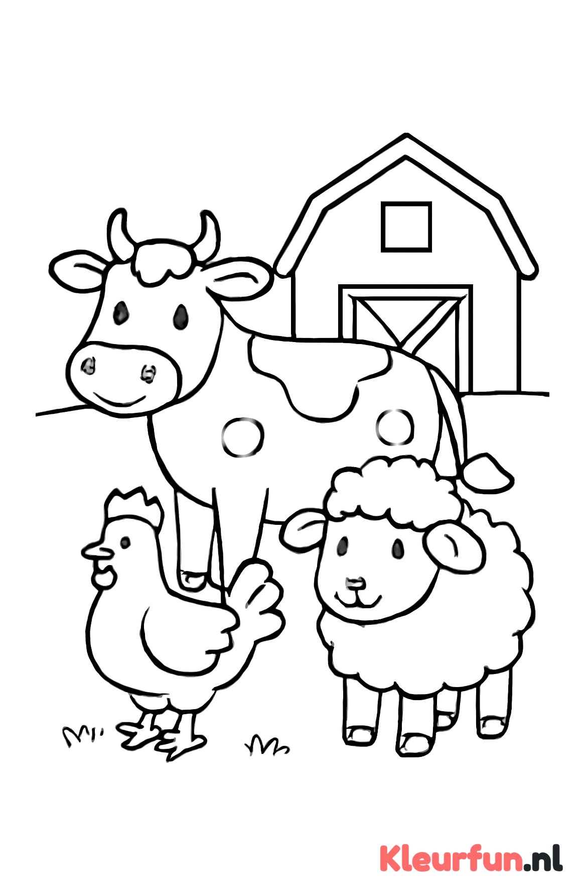 Koe, kip en schaap op de kinderboerderij