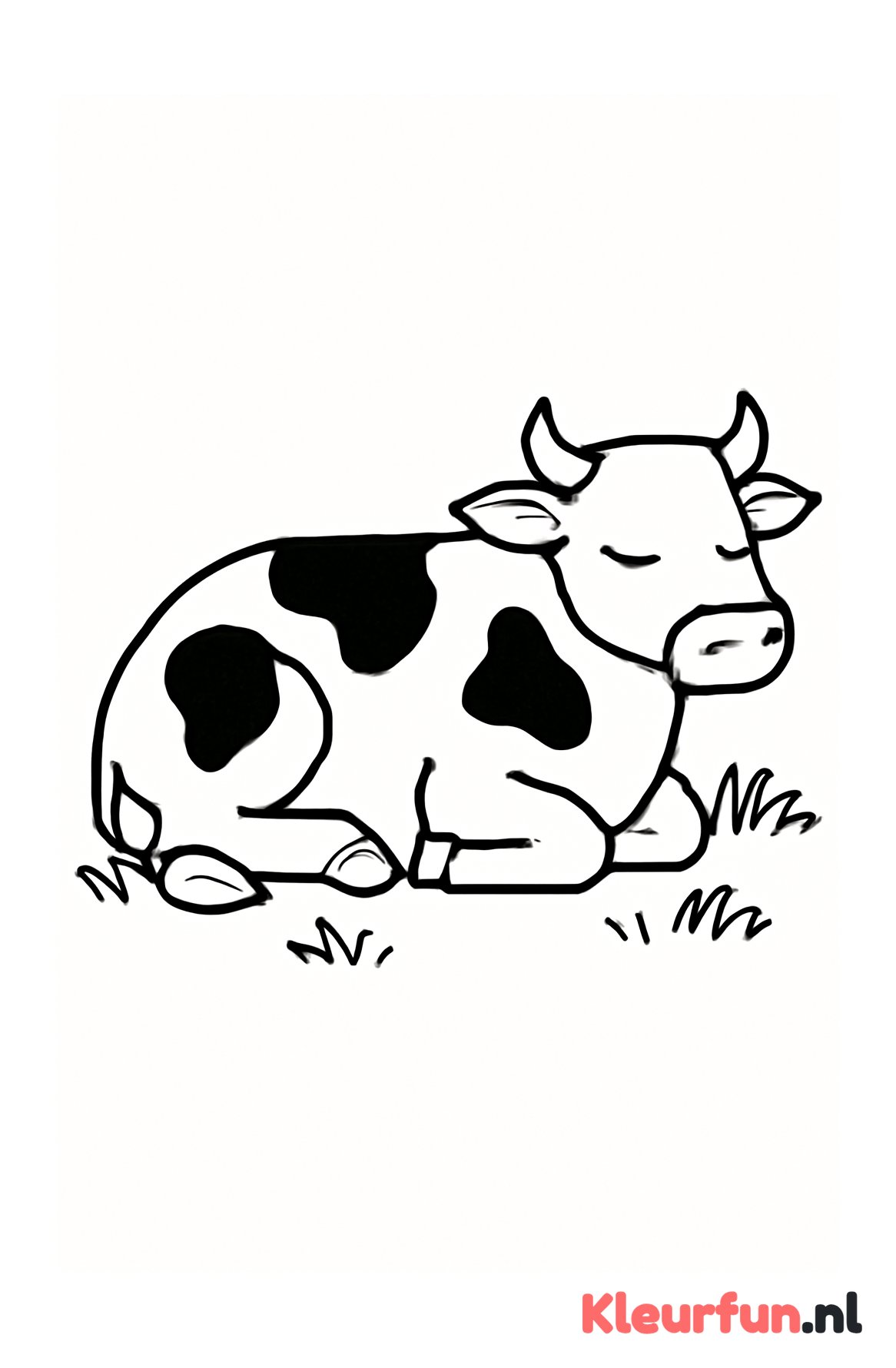 Koe ligt in het gras