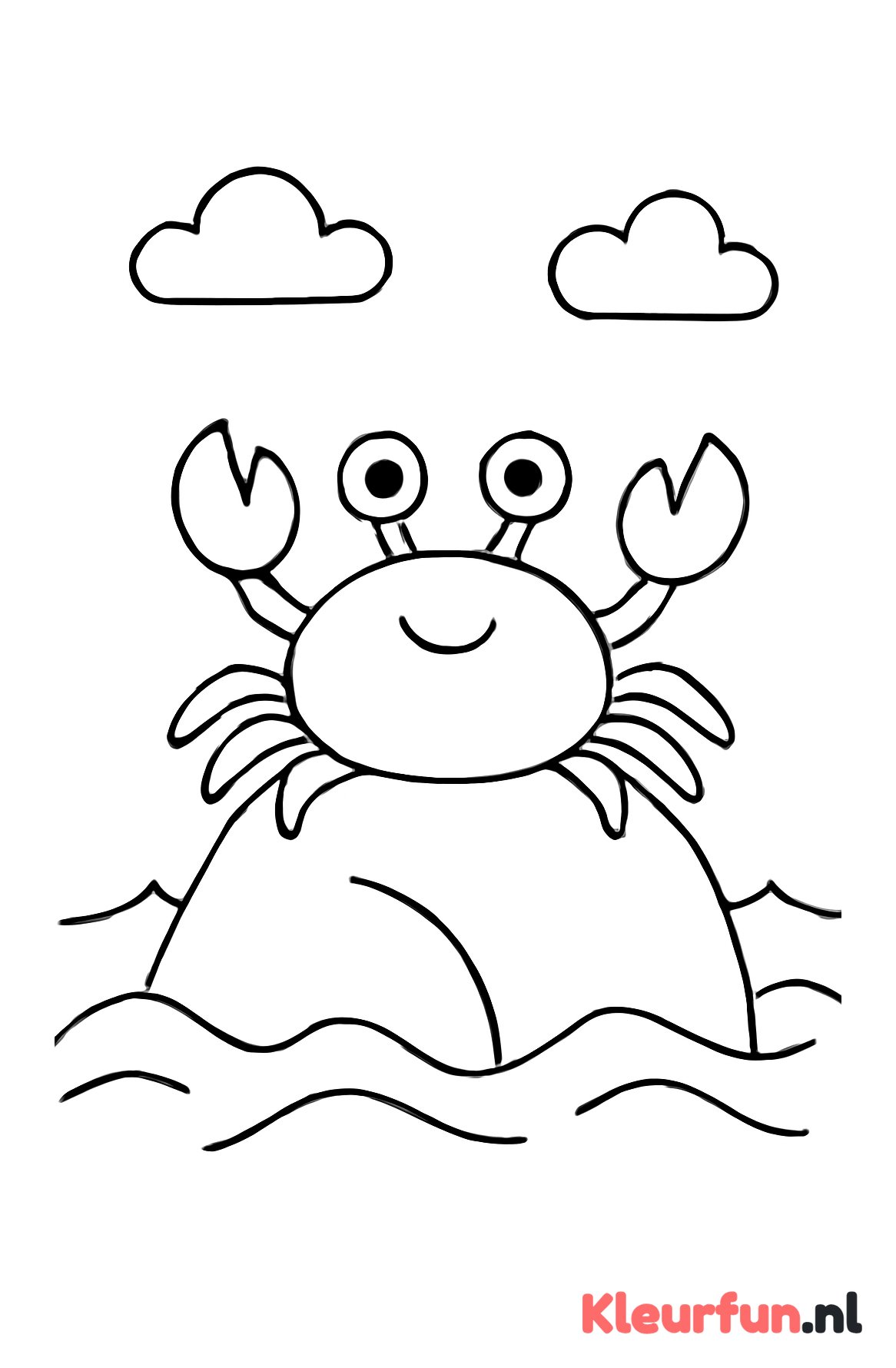 Krab op een rots in de zee