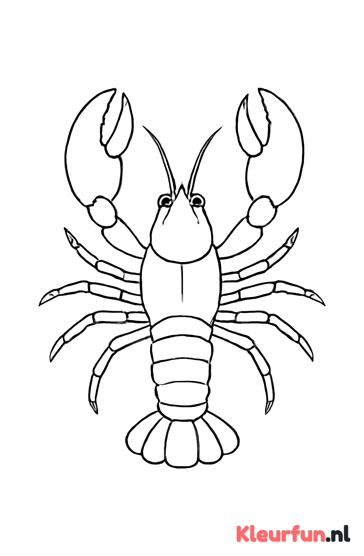 Kreeftenkrab met lange poten
