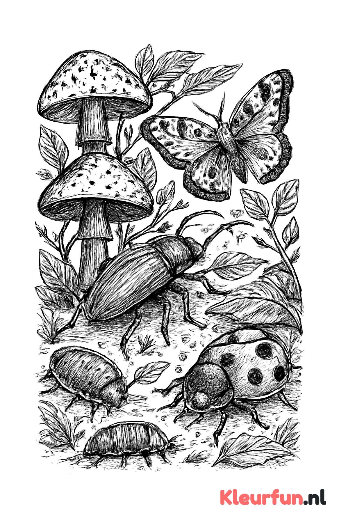 Kriebelbeestjes in het bos