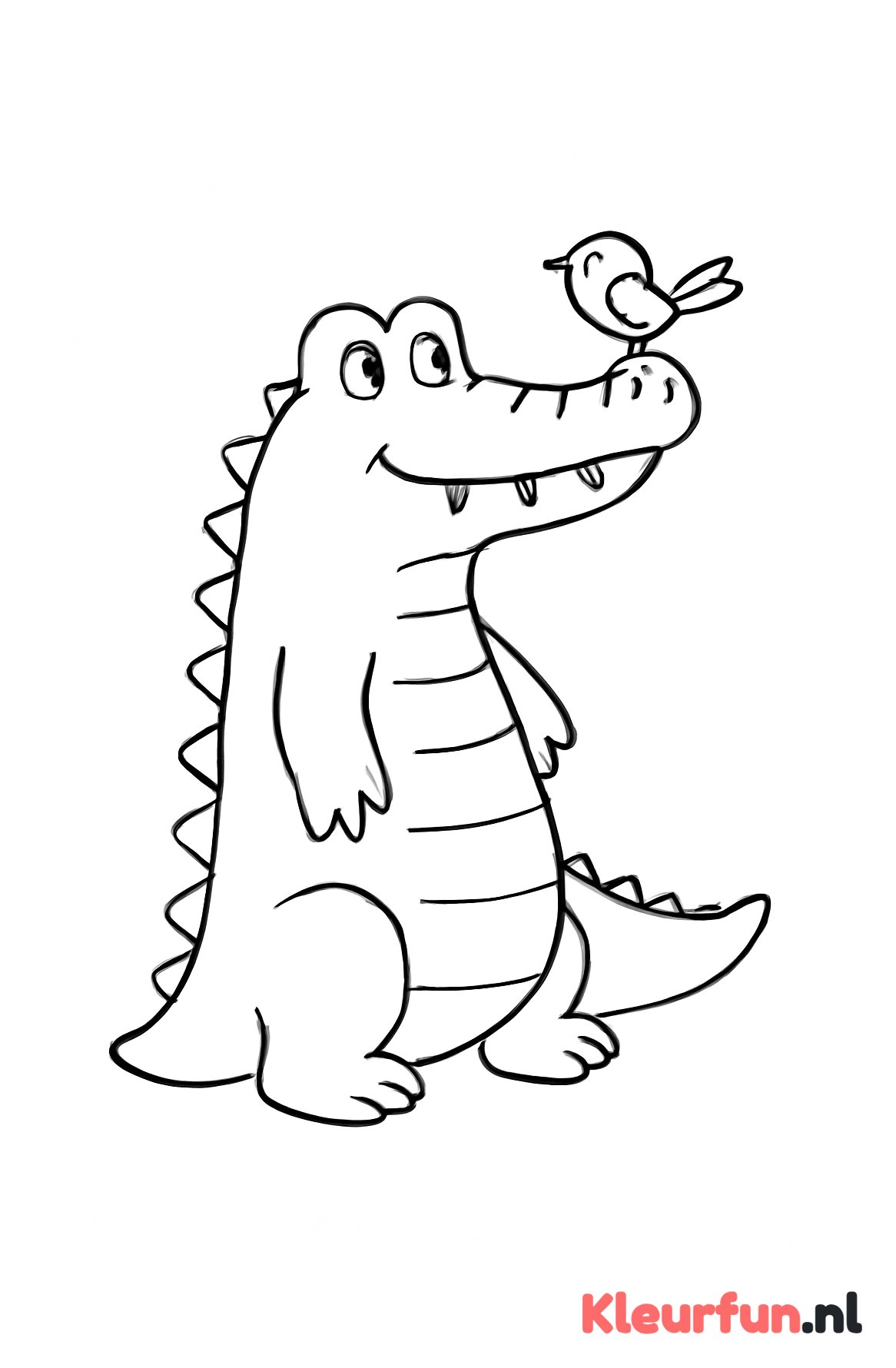 Krokodil met vogeltje
