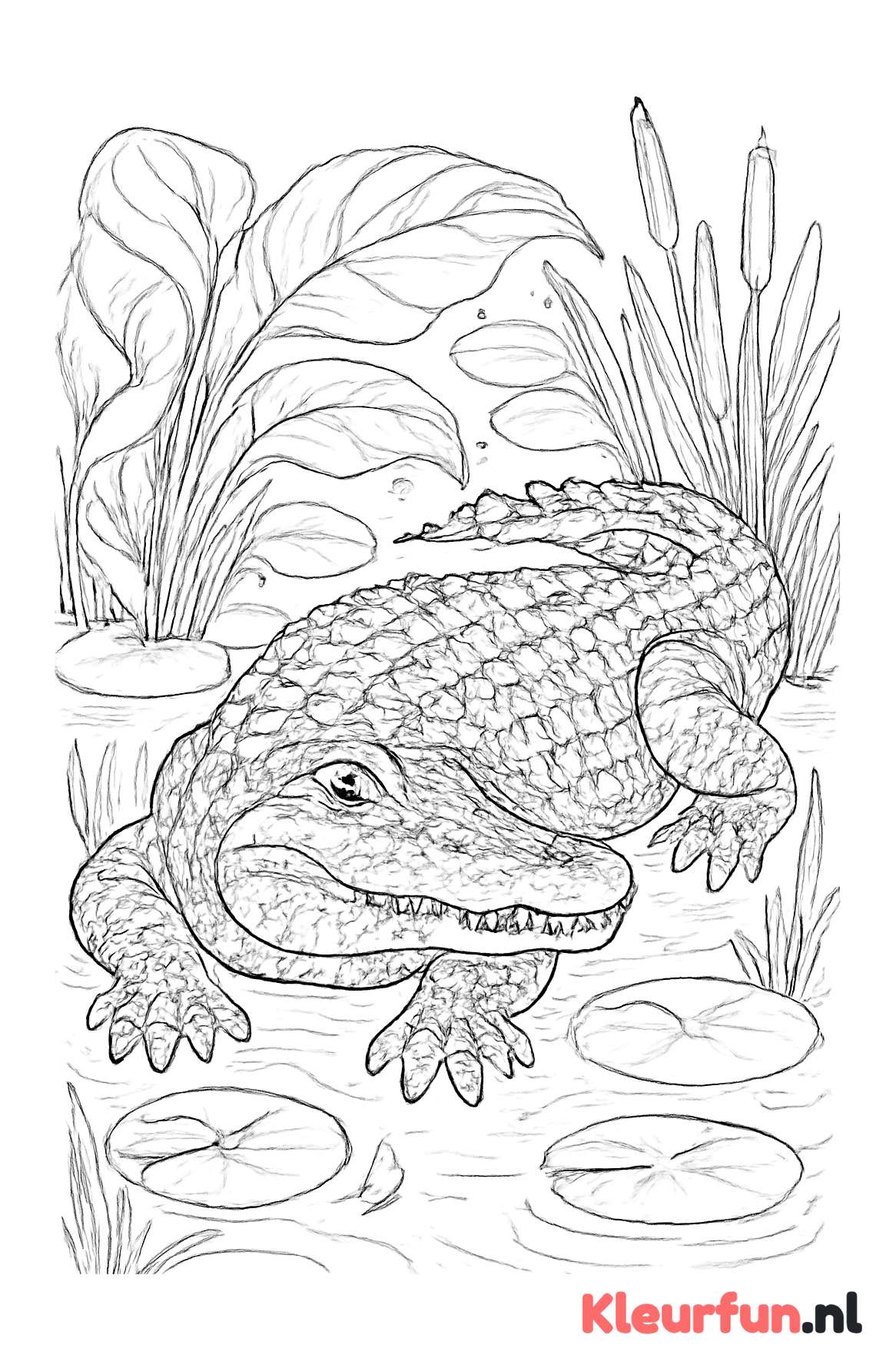 Krokodil in het moeras