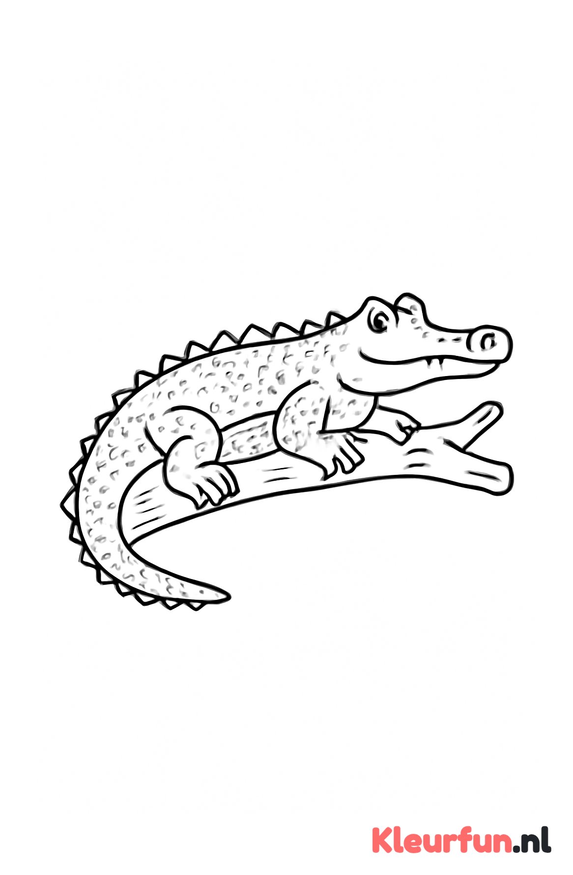 Krokodil op tak