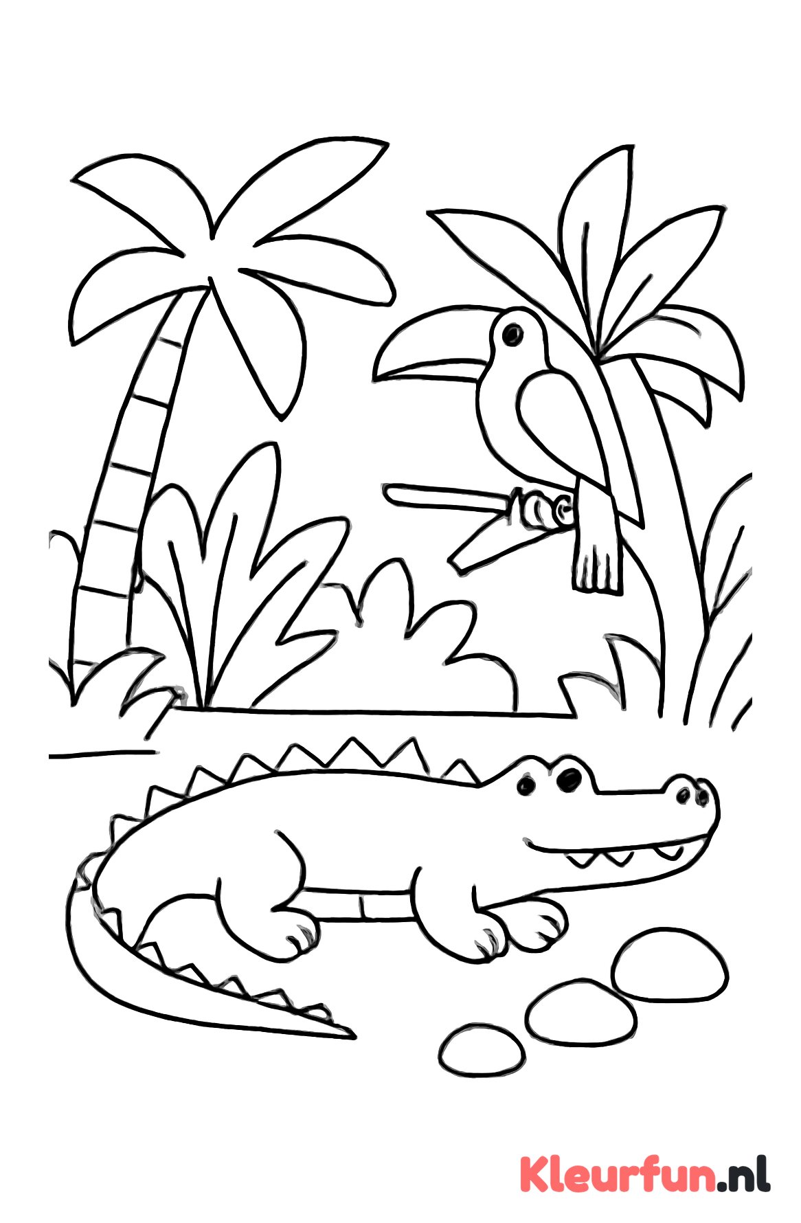 Krokodil en toekan in de jungle